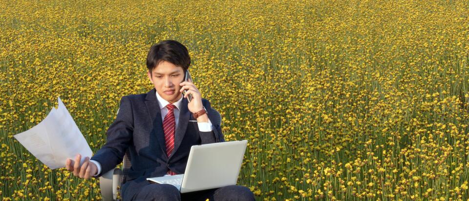 Geschäftsmann im Anzug sitzt mit Laptop auf den Knien und Papieren in der Hand auf einem Bürostuhl inmitten einer blühenden gelben Blumenwiese, während er telefoniert”