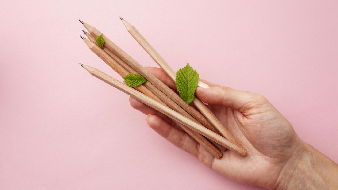 Eine Hand hält mehrere pflanzbare Bleistifte aus Holz, aus deren Enden frische grüne Blätter wachsen.